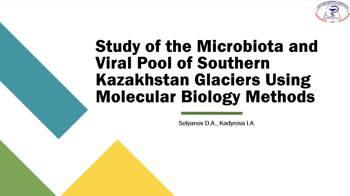 Основной слайд