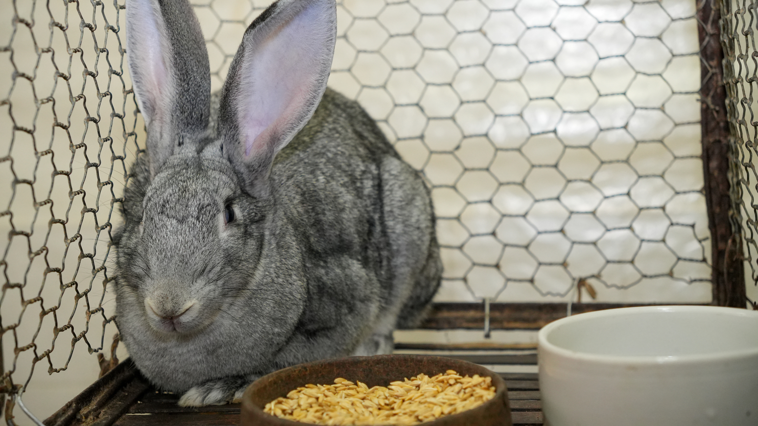 Основной слайд