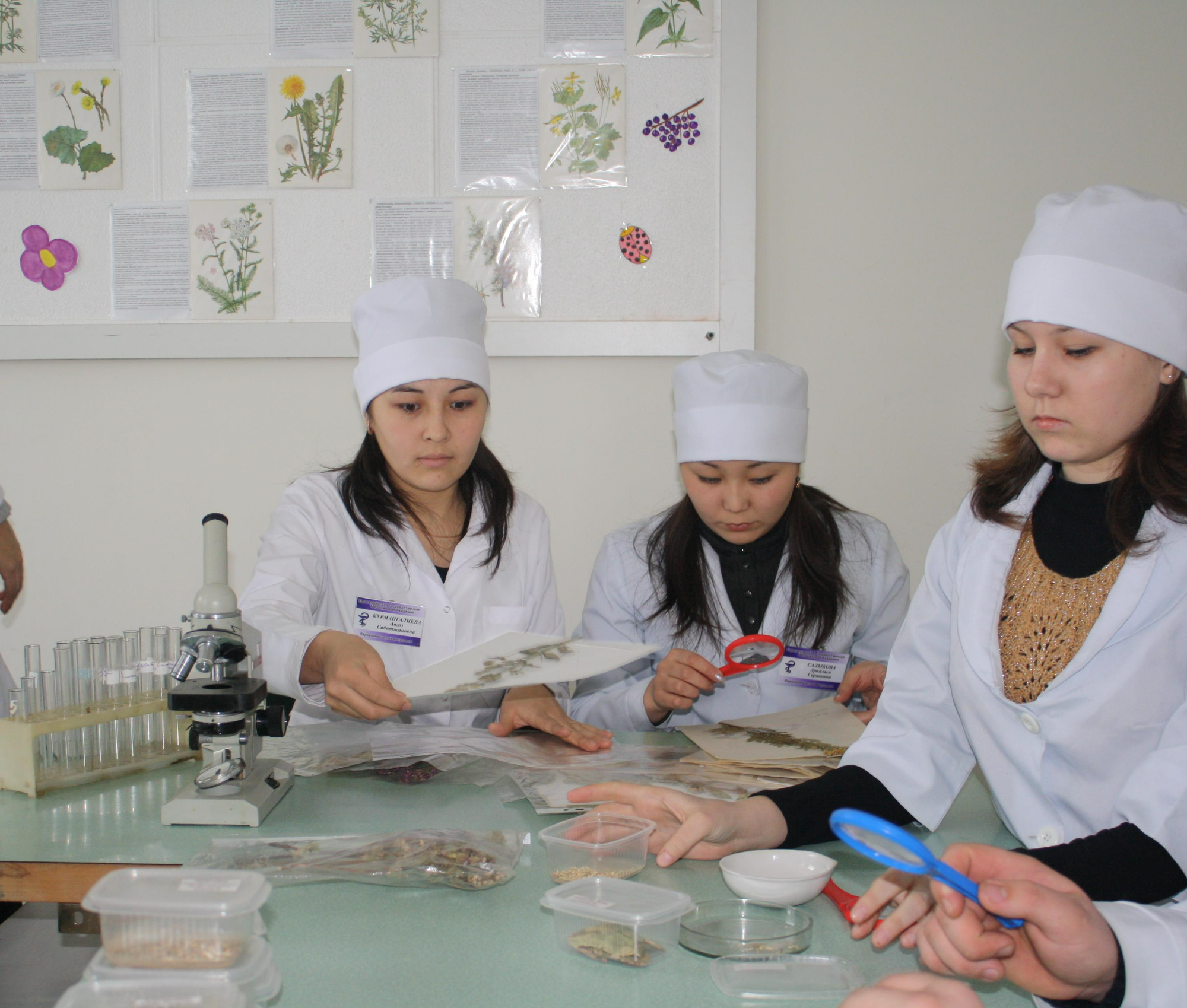 Фармация (бейіндік бағыт)