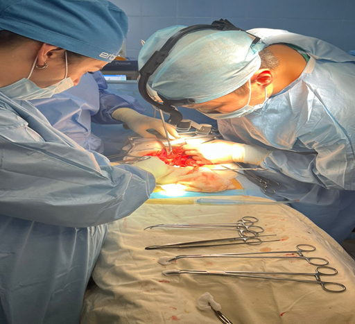 Онкология (взрослая)