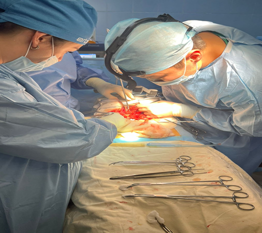 Ересектер онкологиясы