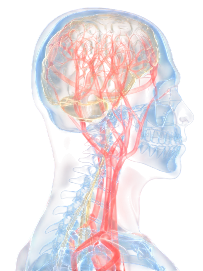 ОБРАЗОВАТЕЛЬНАЯ И НАУЧНАЯ ДЕЯТЕЛЬНОСТЬ