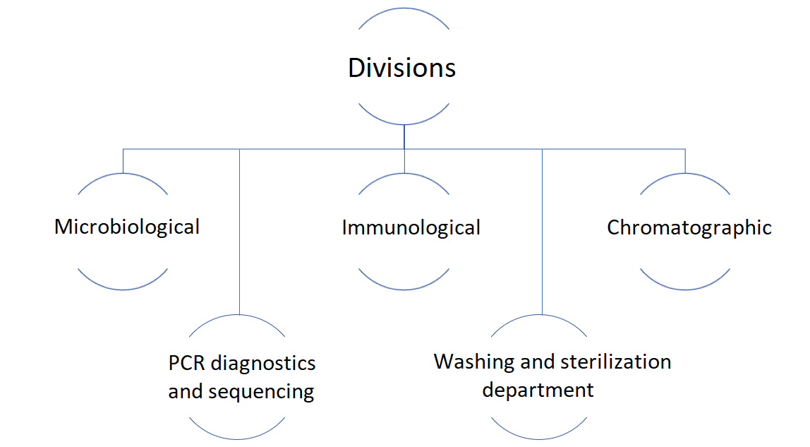 Подразделения лаборатории