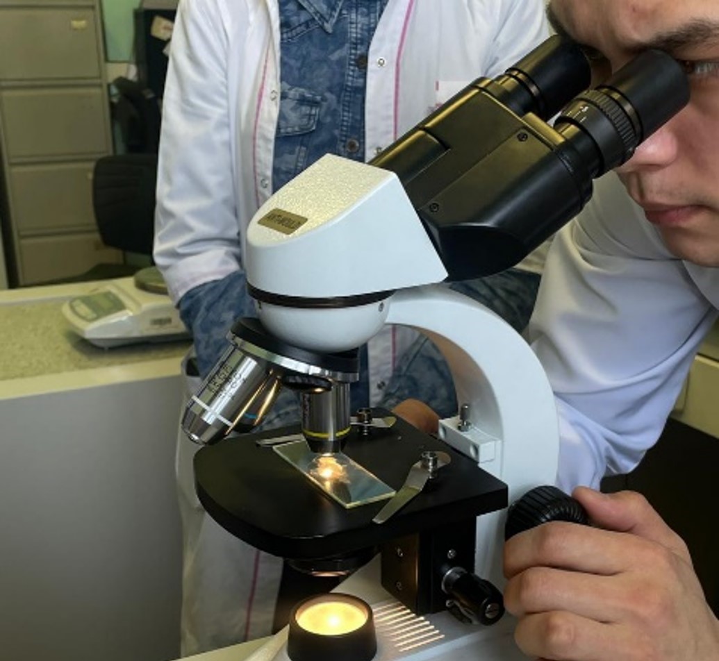 Институт наук о жизни